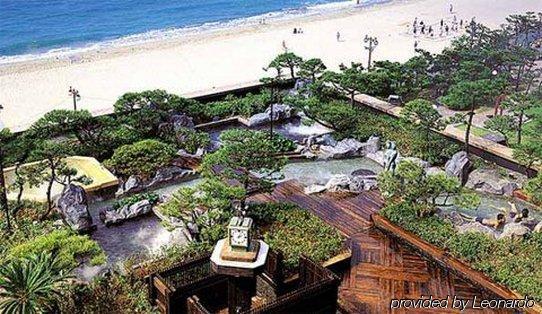 Rio Roiss Hotel Rio de Janeiro Luaran gambar